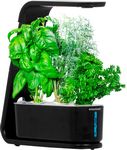 AeroGarden - Sprout - Easy Setup - Healthy cooking garden kit – 3 Gourmet Herb Pods included